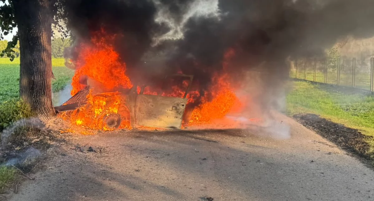 Stracił panowanie nad pojazdem i uderzył w drzewo - auto stanęło w płomieniach! 