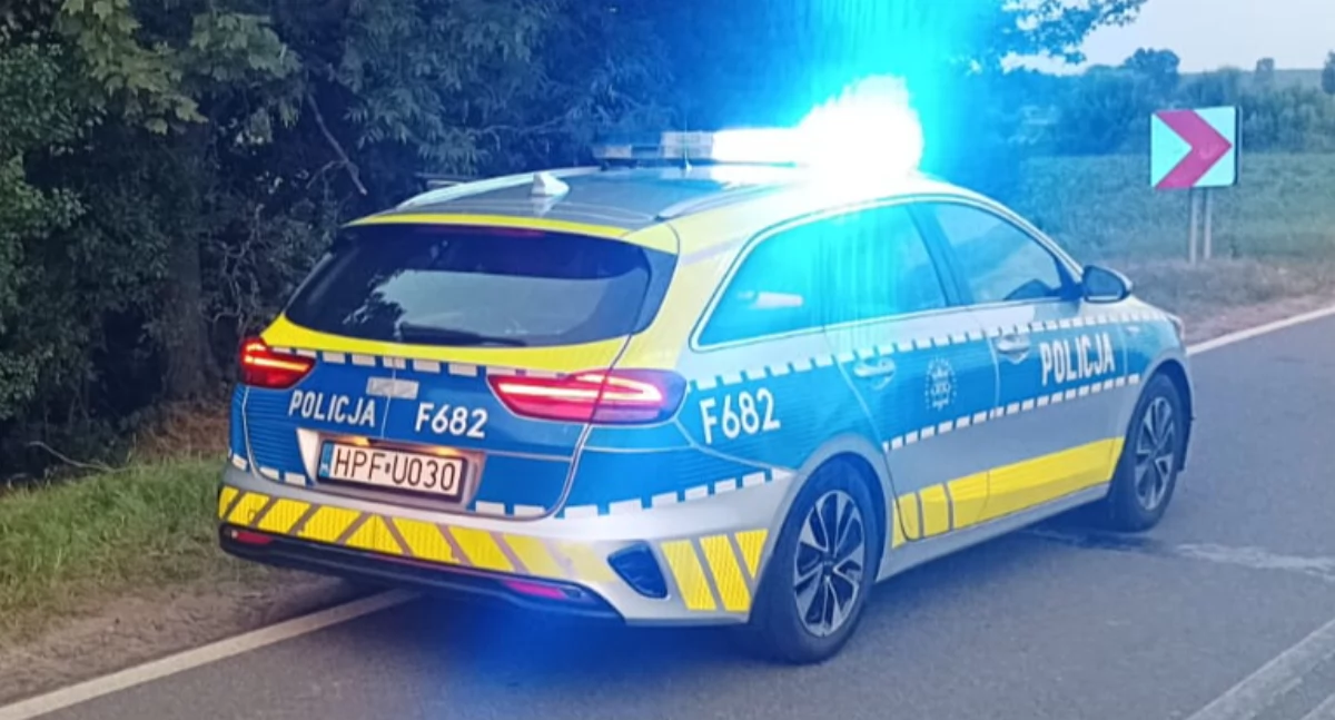 Pijany kierowca walnął w ścianę domu