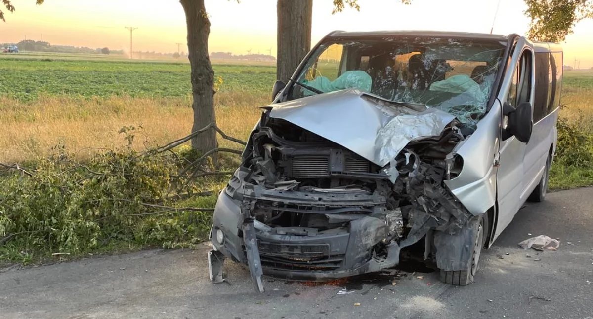 Zjechał z drogi i uderzył autem w drzewo - był kompletnie pijany!