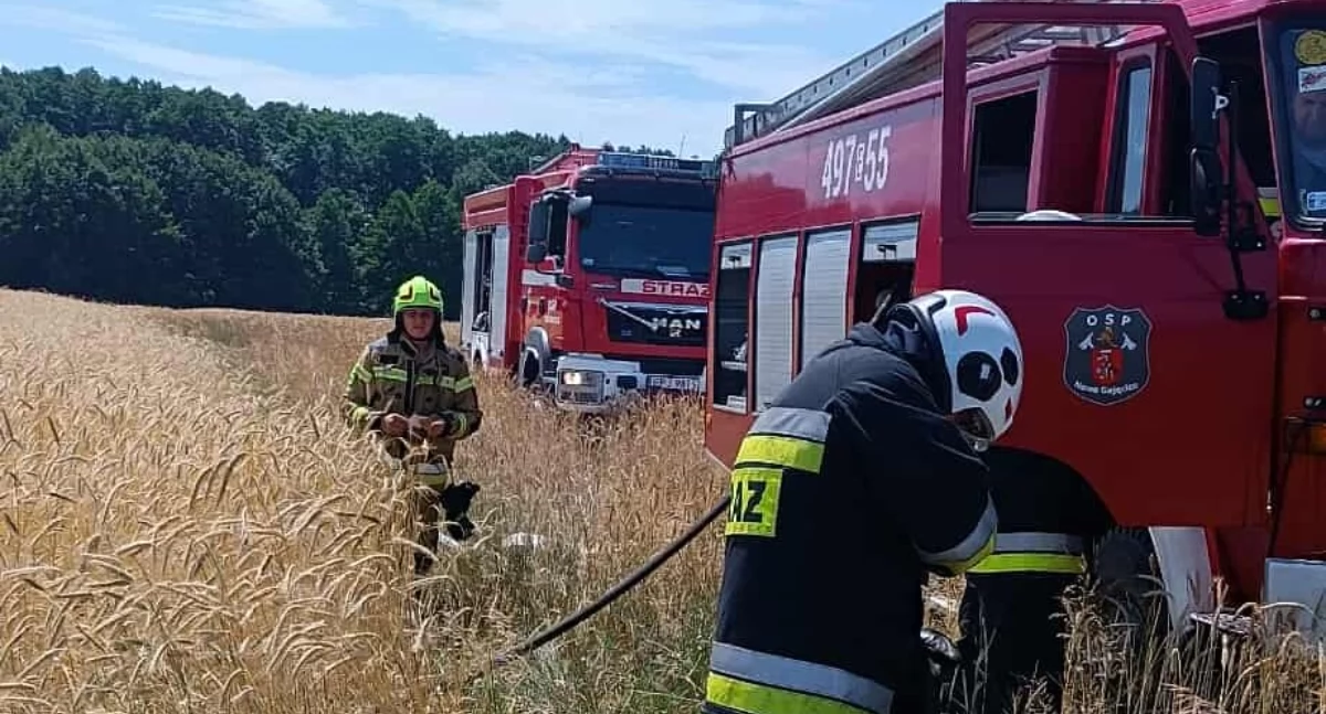 Pożar traw w miejscowości Barany w gminie Pajęczno