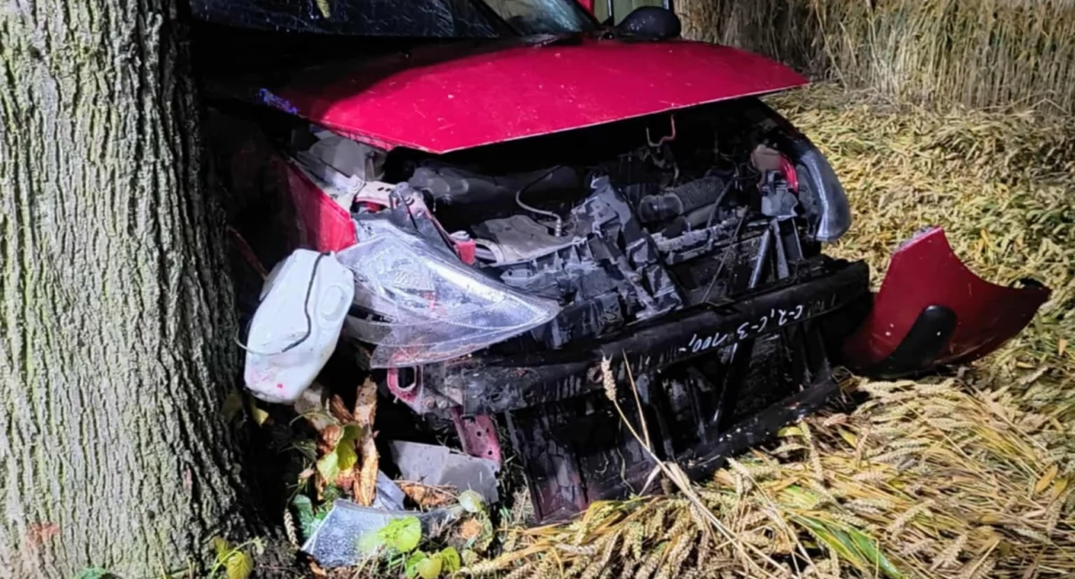 Wypadek w Kalinowej. Jechał po spożyciu