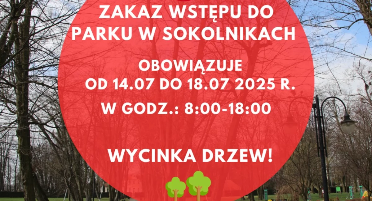 Zakaz wstępu do parku w Sokolnikach. Ruszyła wycinka drzew
