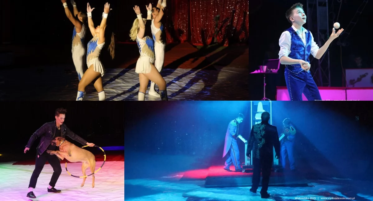 To będzie niesamowite show - w niedzielę do Wielunia przyjedzie Cyrk Zalewski!