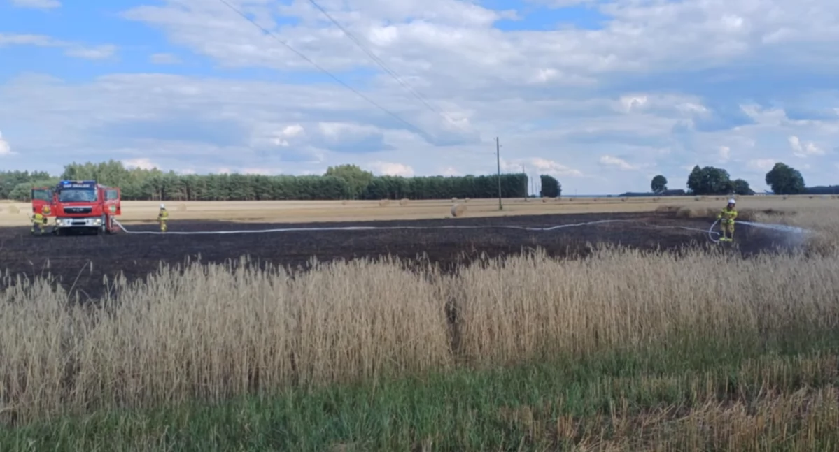 Pożar zboża między Ostrówkiem, a Gwizdałkami: W akcji brało udział 30 strażaków