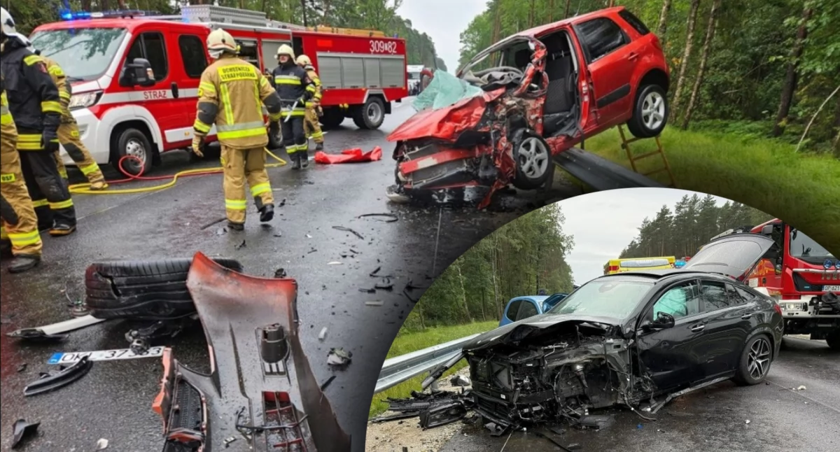 Znany lekarz i przedsiębiorca z Wielunia sprawcą śmiertelnego wypadku