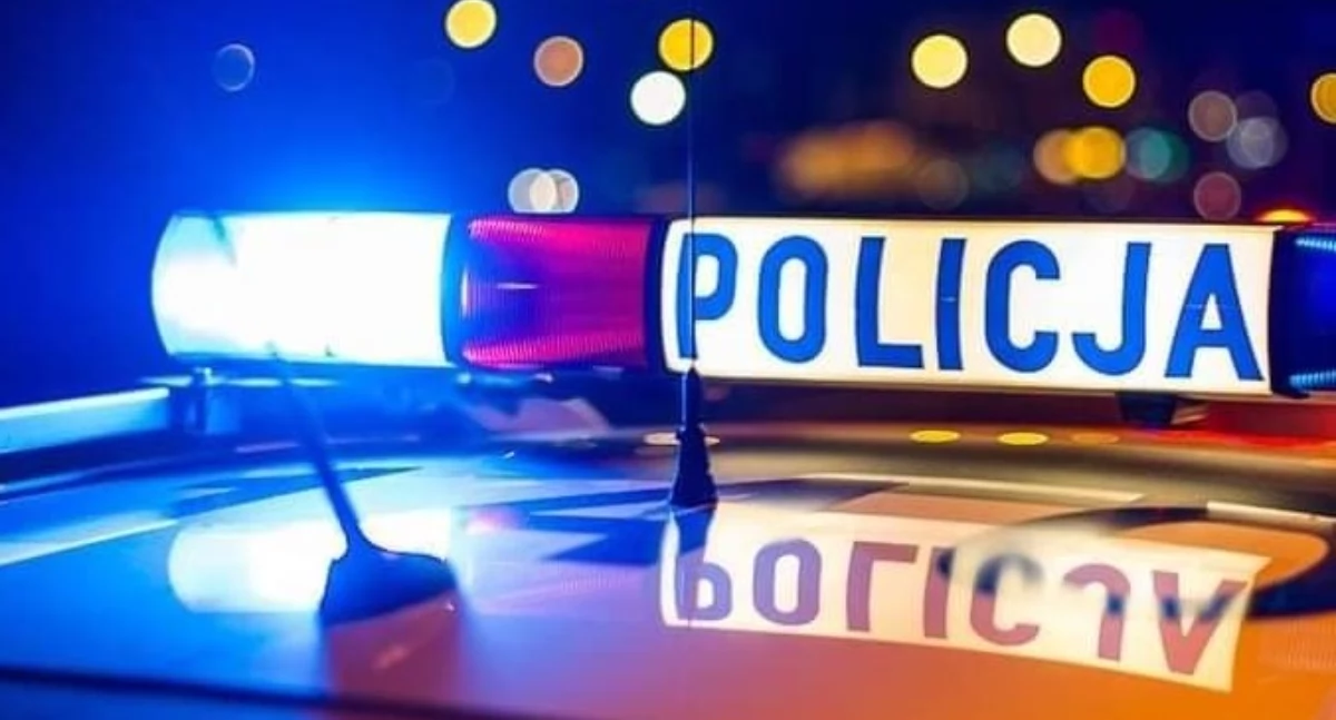 Pijana 18-latka uderzyła autem w ogrodzenie - wraz z koleżanką uciekła z miejsca zdarzenia