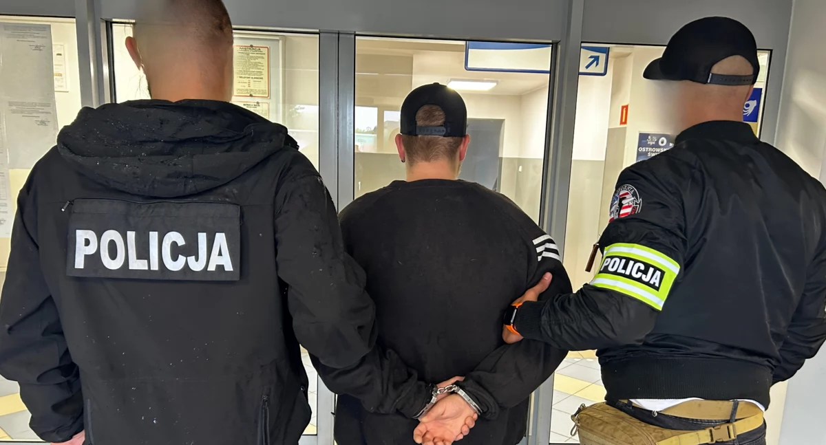 Wyrwał saszetkę niedosłyszącemu. W środku były medyczne słuchawki za 10 tysięcy złotych