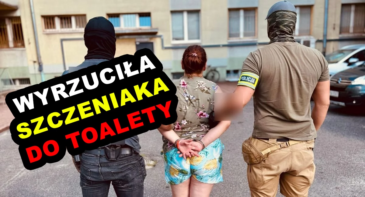 36-latka wrzuciła szczeniaka do toalety. Pies nie przeżył, grozi jej 5 lat więzienia