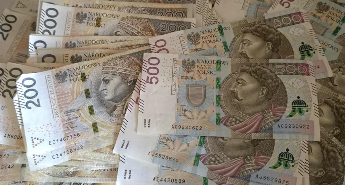 Rekordowa liczba milionerów powiecie wieluńskim. Co wiemy o lokalnych krezusach?