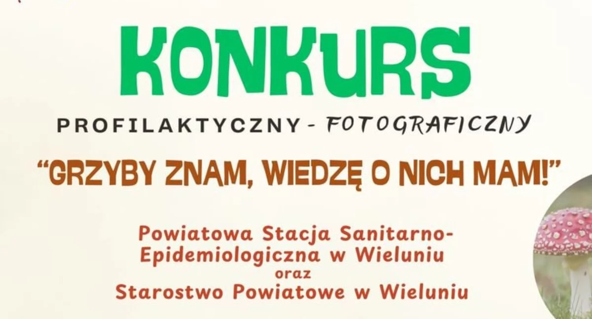 Konkurs „Grzyby znam, wiedzę o nich mam!”: Weź udział i pokaż swoją kreatywność