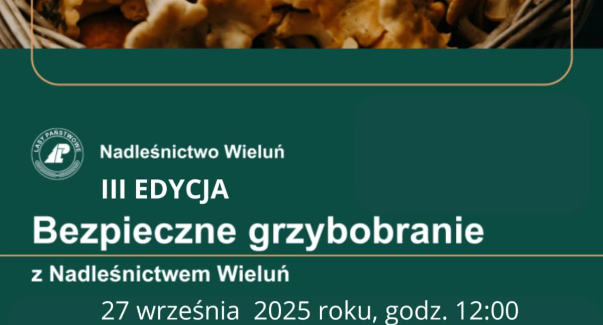 Bezpieczne grzybobranie z Nadleśnictwem Wieluń już 27 września w Mierzycach!