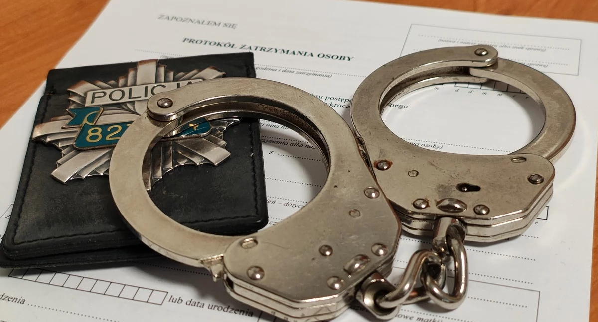 Popełnił dwa przestępstwa i został deportowany - szybka reakcja w stosunku do obywatela Ukrainy
