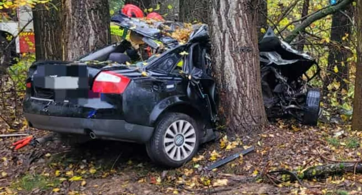 Wypadek w Krajance, na drodze relacji Klatka-Parcice. Kierowca w szpitalu