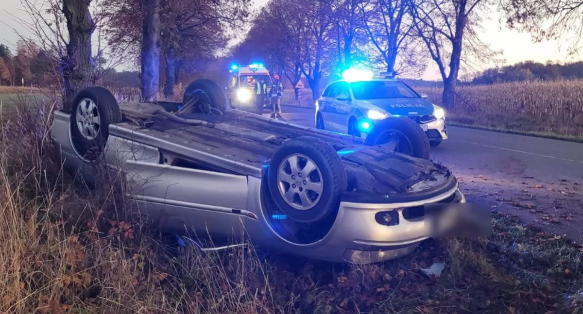 Opel zjechał z drogi i dachował - wszystko przez dziką zwierzynę