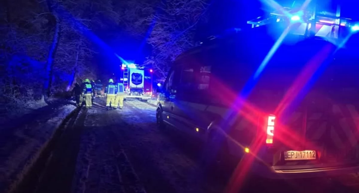 Powalone drzewa w regionie: Skutki intensywnych opadów śniegu