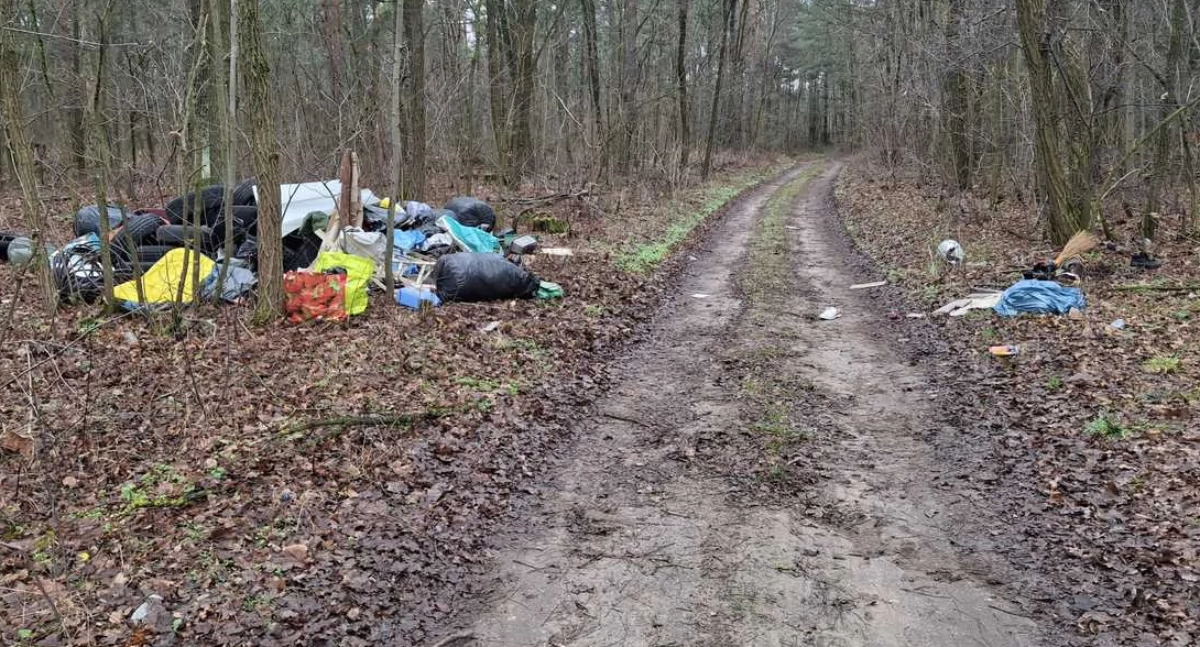 Policjanci walczą z zaśmiecaniem lasów - przekonał się o tym jeden z mieszkańców