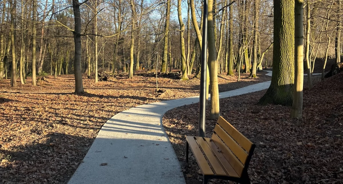 Park w Pątnowie odnowiony - powstało miejsce do odpoczynku i spotkań na świeżym powietrzu
