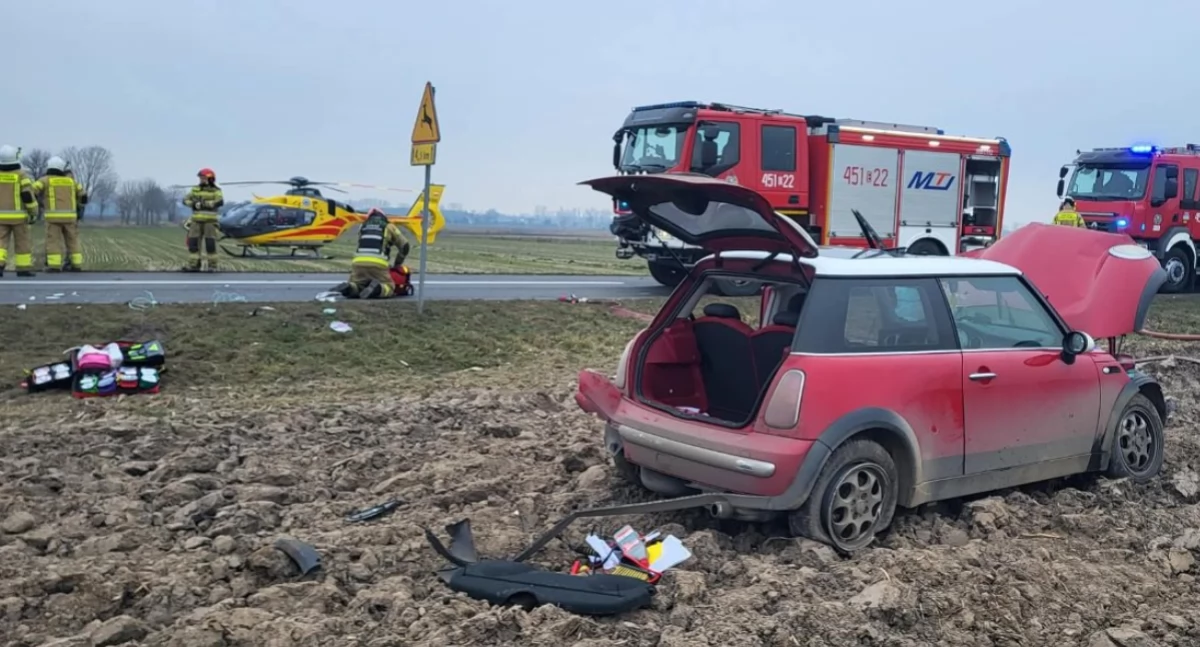 Wypadek na DW703: Strażacy uwalniali kierowcę z pojazdu, dwie osoby trafiły do szpitala