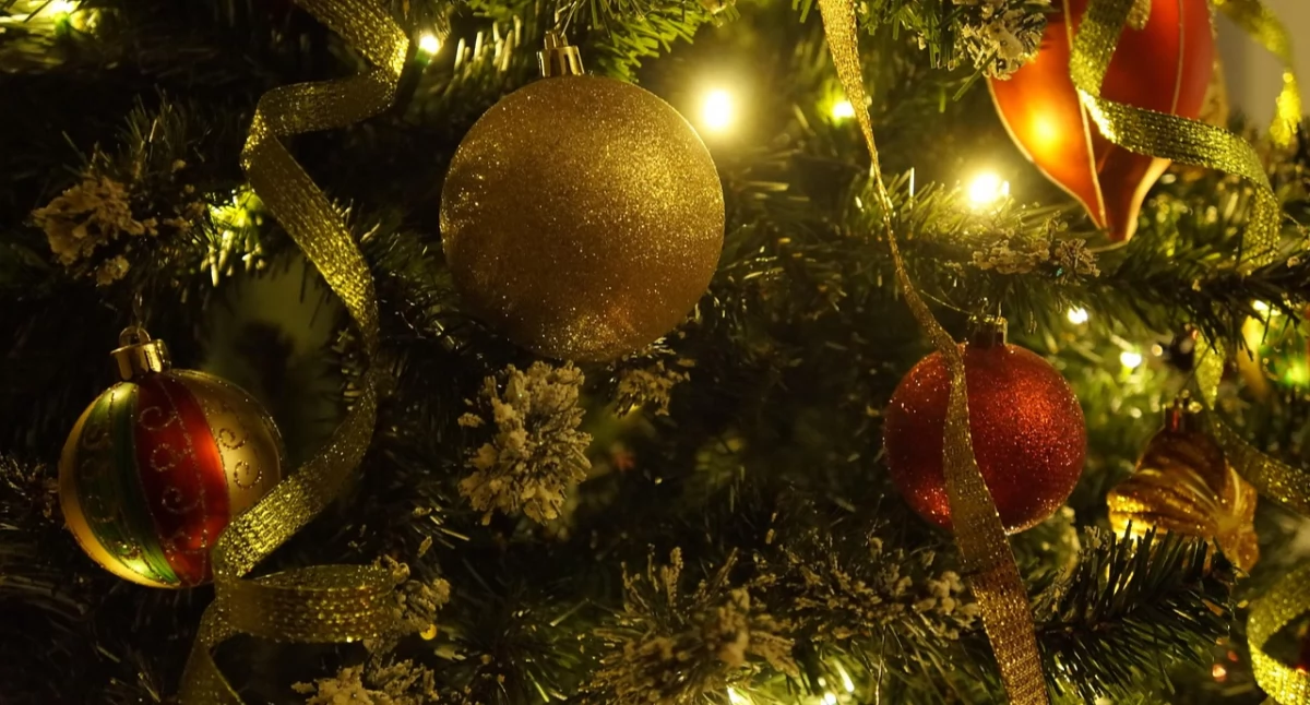 Kolędowanie z królami w Skomlinie - podczas wydarzenia będzie prowadzona zbiórka dla dzieci