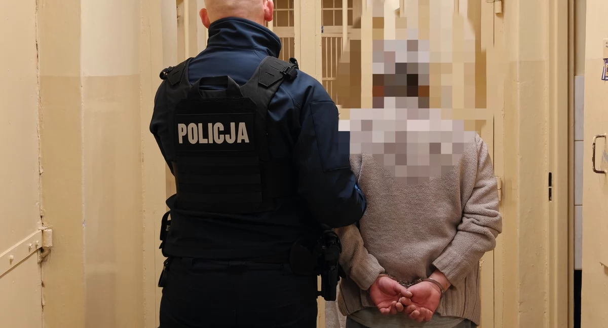 Miał dziecięcą pornografię i chciał spotkać się z małoletnią dziewczynką - wcześniej obnażał się na ulicach miasta 
