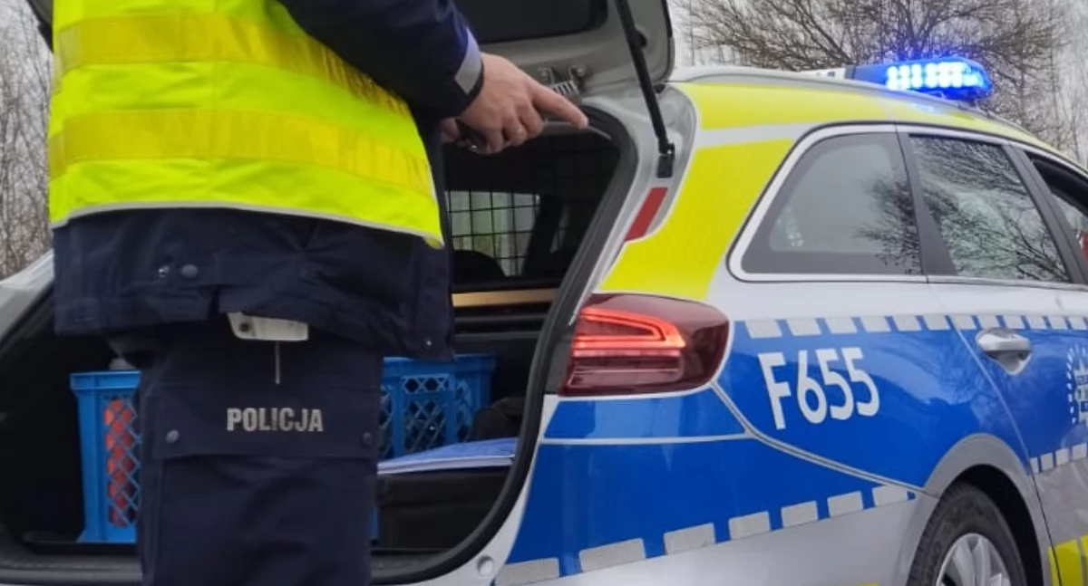 Brutalne zabójstwo siekierą. Nie żyją dwie osoby