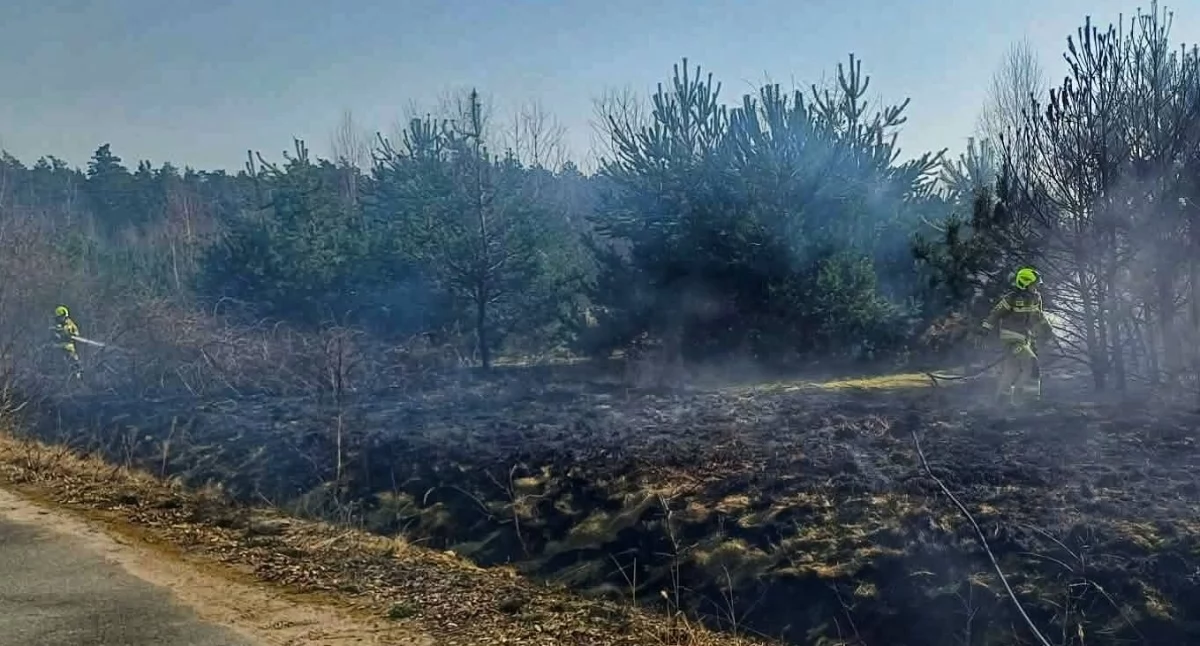 Pożary traw w powiecie wieruszowskim: Strażacy apelują do mieszkańców