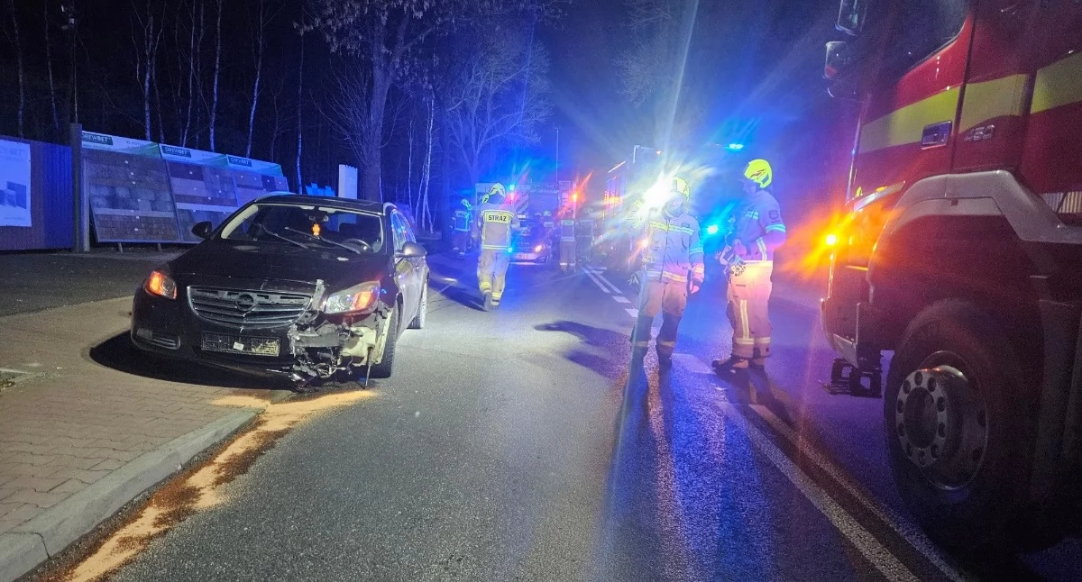 Kolizja w Sulmierzycach: Kierowca uderzył w znaki drogowe