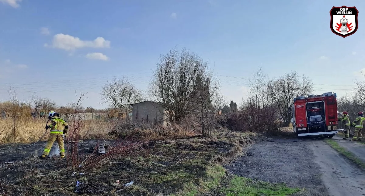 Interwencja straży w Wieluniu: Pożar traw i nieużytków