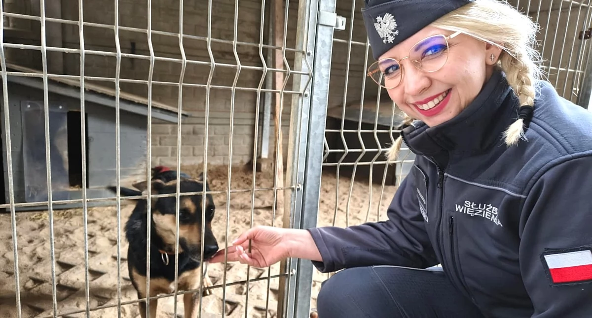 Służba więzienna wspiera schronisko w Trębaczewie