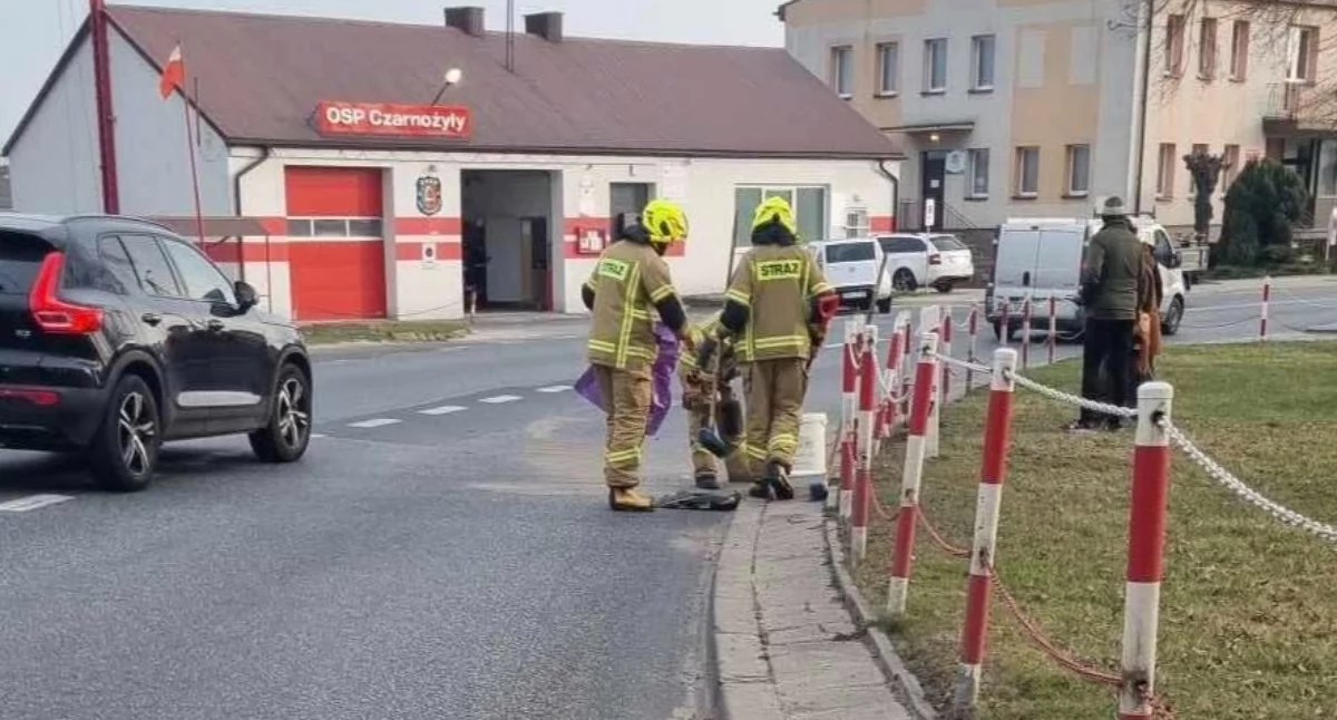 Kolizja dwóch osobówek i plama na drodze w Czarnożyłach
