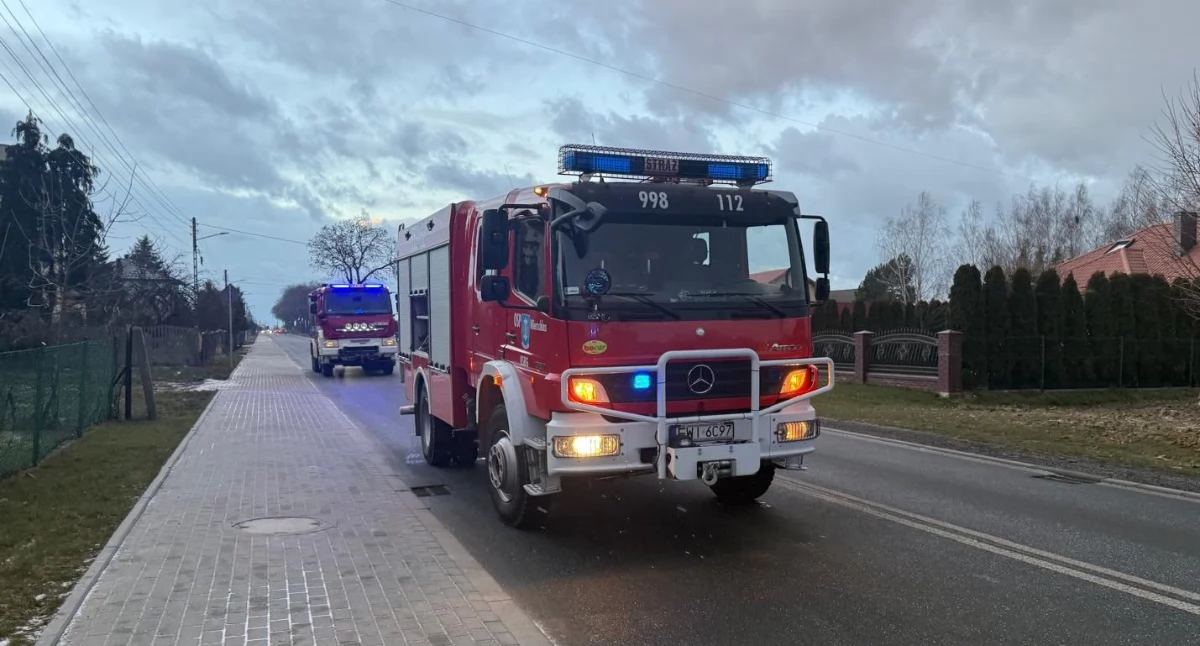 Poranna kolizja w Wierzchlesie. Za szybko i łup w słup