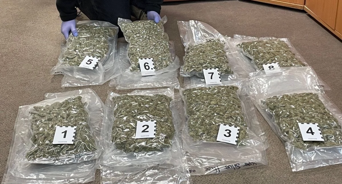 Narkotyki w kurierskich przesyłkach - zabezpieczono blisko 13 kilogramów marihuany