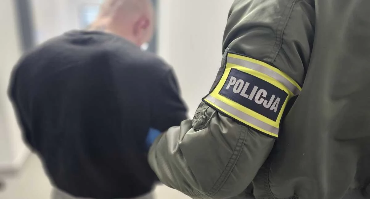 Popchnął starszą kobietę na chodniku i zabrał jej torebkę - 34-latek może mieć na koncie więcej takich akcji 