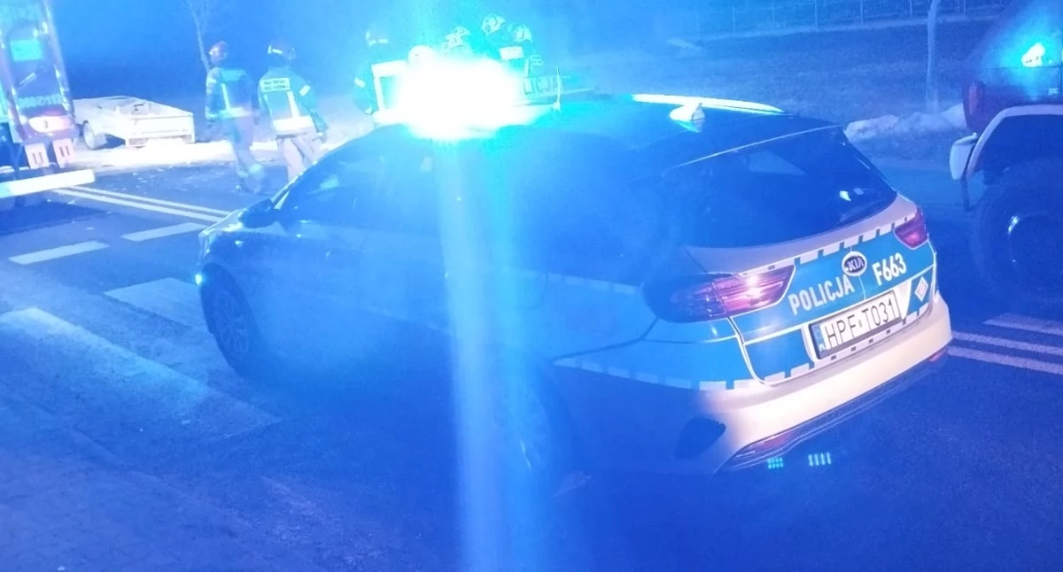 Pożar i makabryczne odkrycie w Złoczewie. Zwłoki człowieka i psa znalezione w pogorzelisku