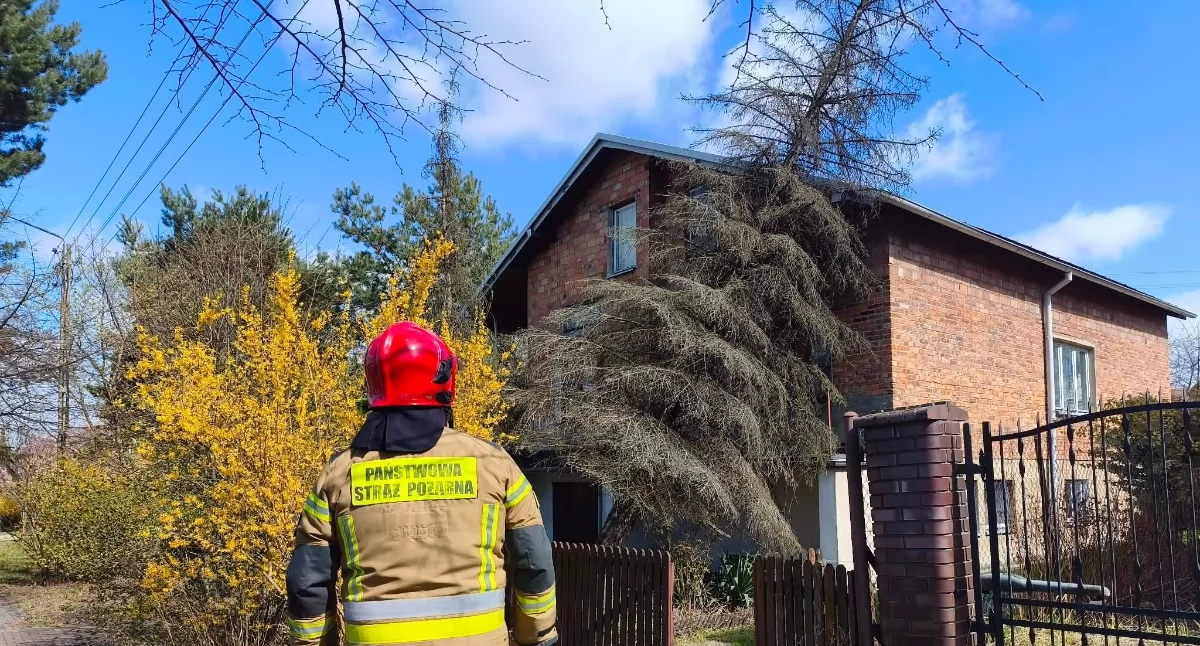 Wtorkowy wiatr nie odejmował pracy wieluńskim strażakom 