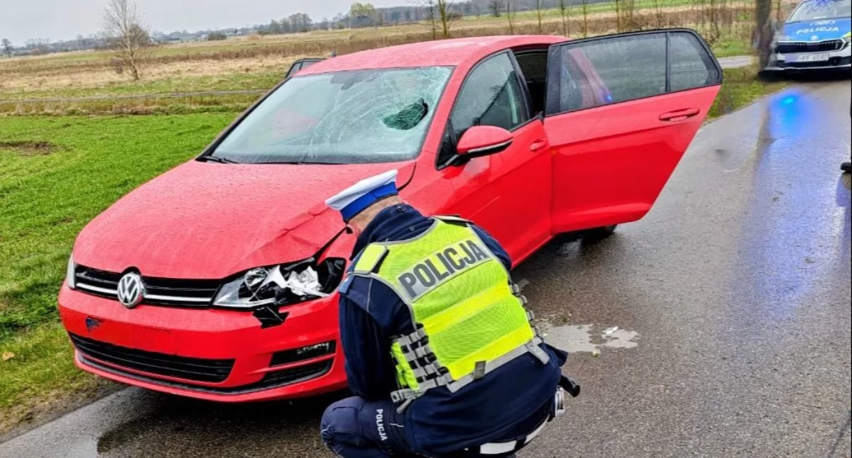 Policja poszukuje świadków potrącenia pieszej 