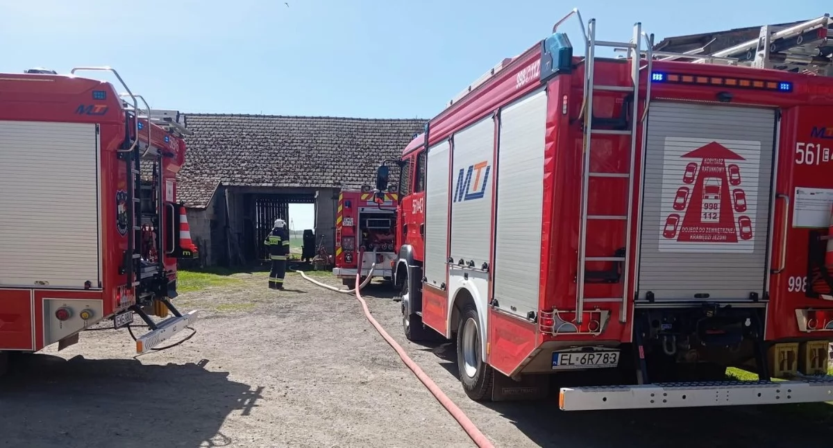 Ogień zagrażał zabudowaniom: Interweniowało kilka zastępów straży pożarnej