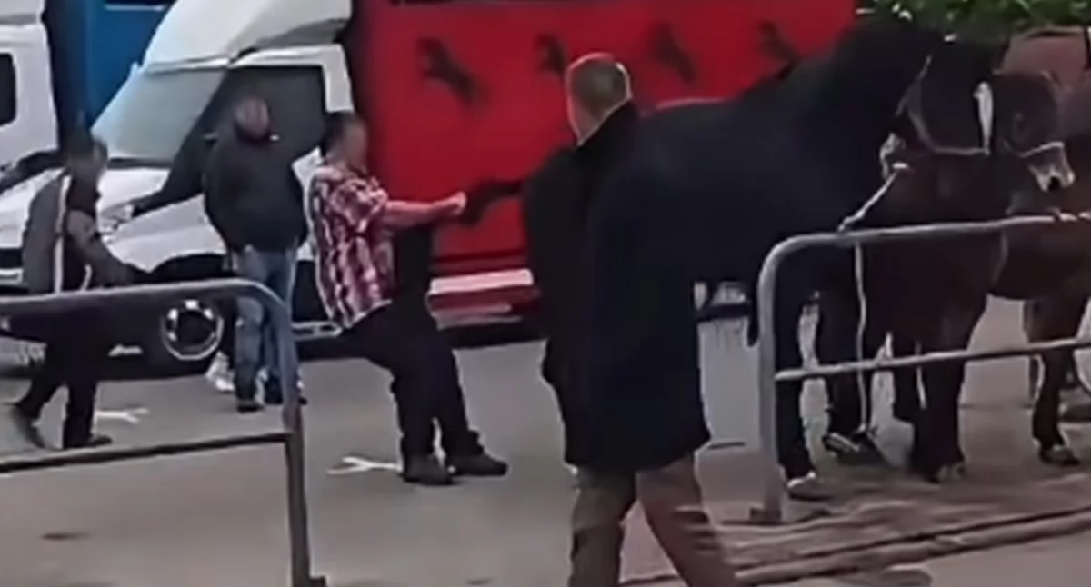 Oprawca z targów końskich w Pajęcznie nie pojeździ już dorożką po Krakowskim Rynku