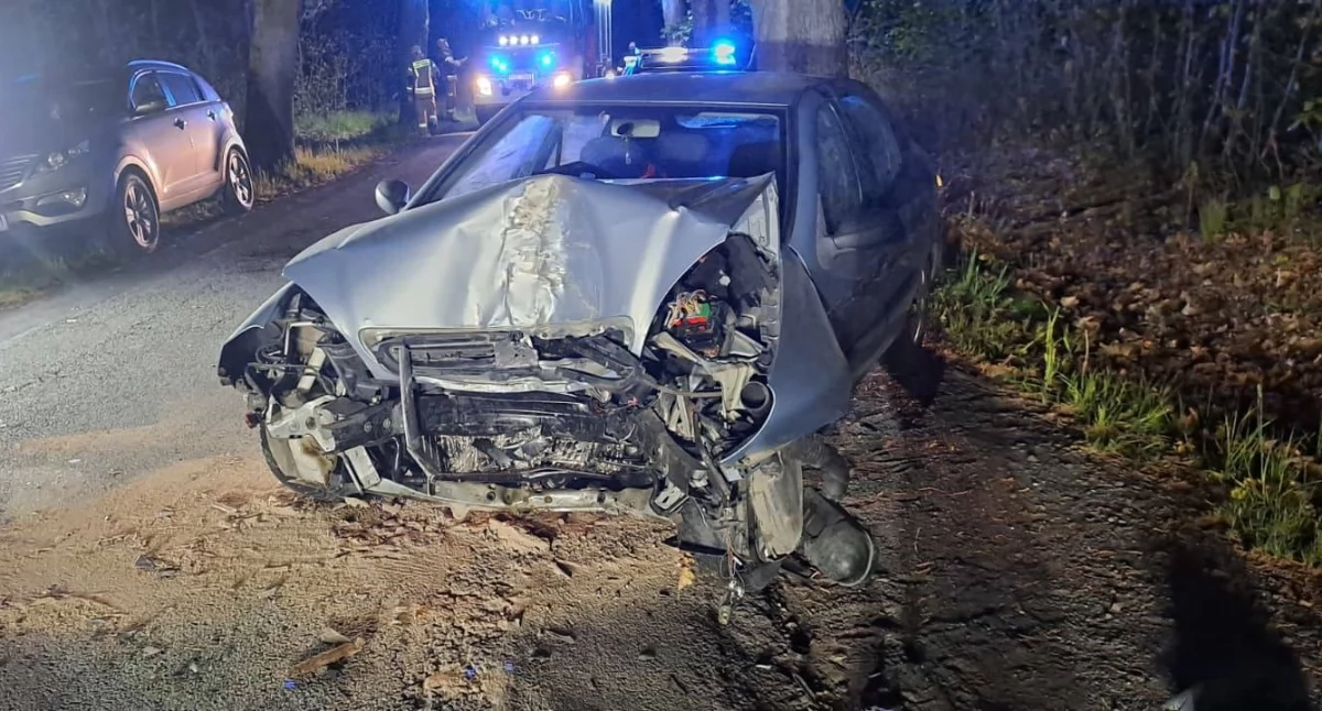 Zasnęła za kierownicą, auto uderzyło w drzewo: Kobieta trafiła do szpitala