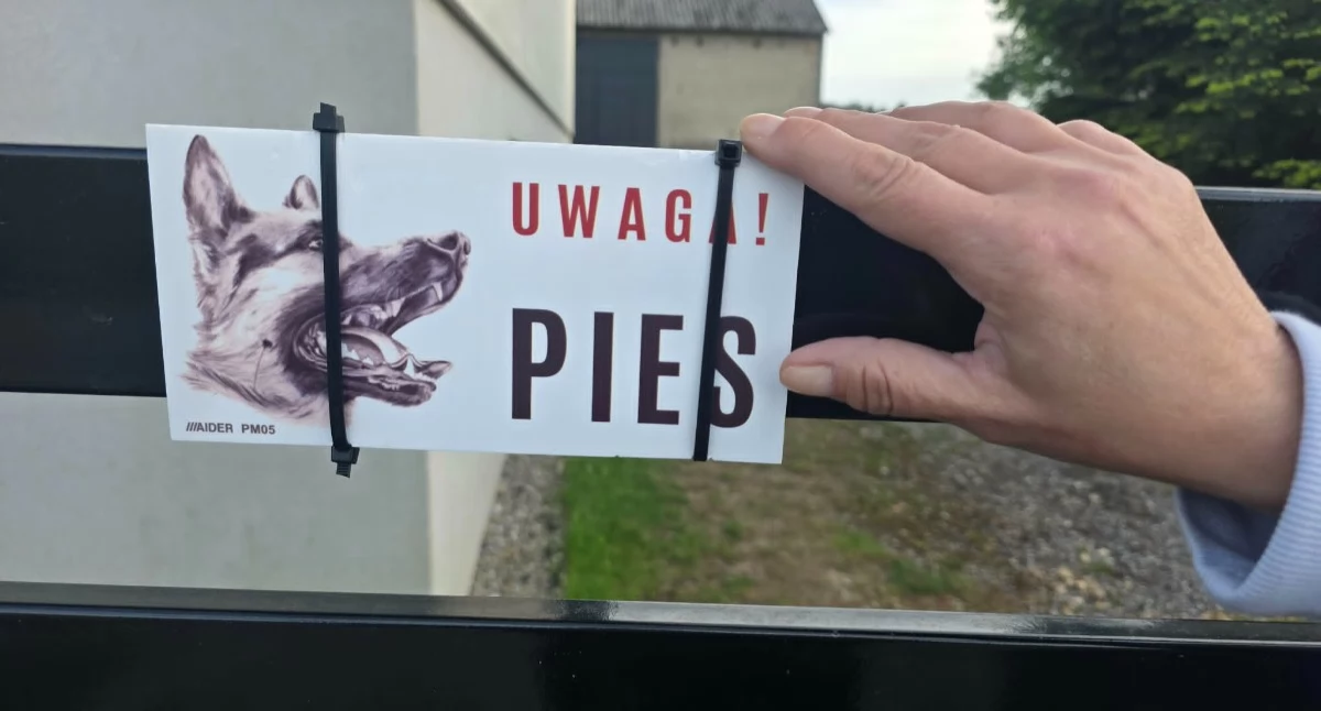 Shih tzu nie przeżył ataku amstaffa. Policja prowadzi czynności