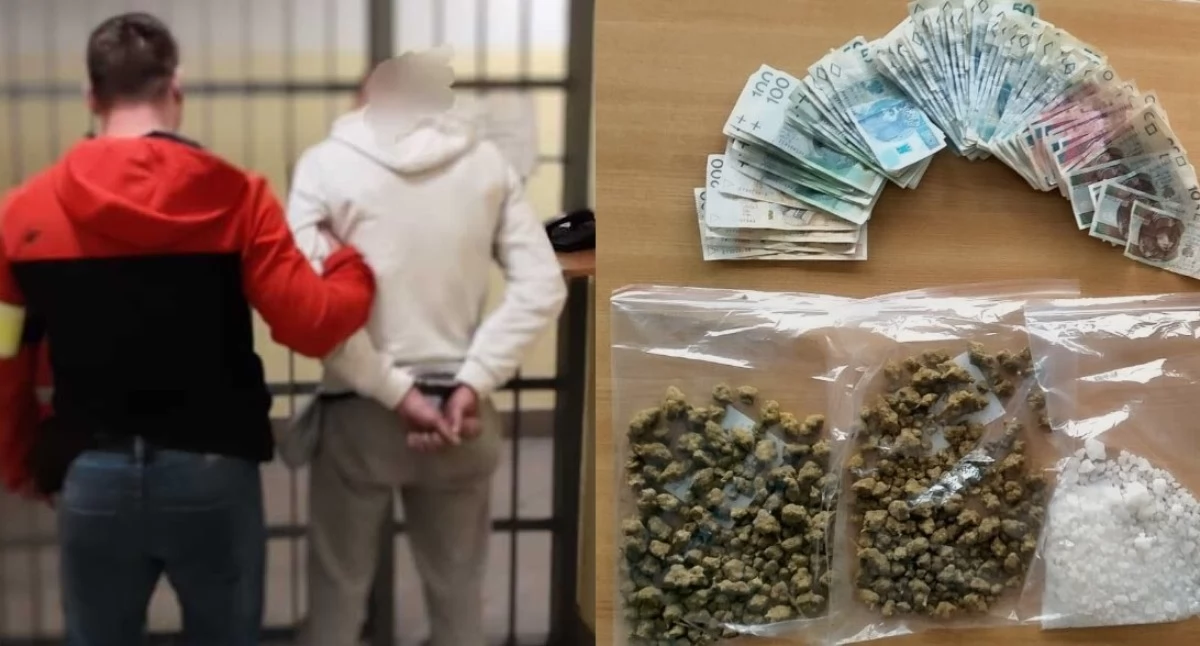 24-latek handlował narkotykami - ukrył je w piekarniku i pod sufitem 