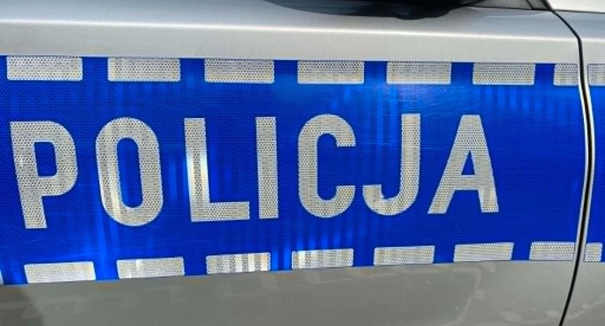 Stracił panowanie nad pojazdem i uderzył w ogrodzenie