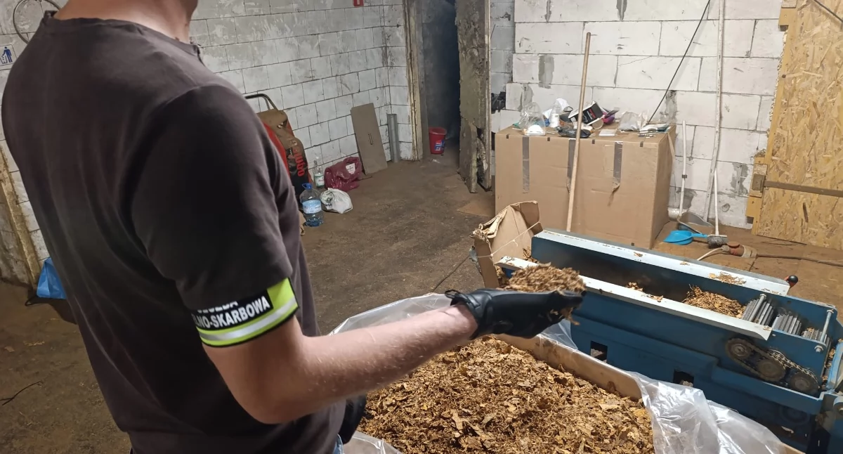 Kolejna nielegalna fabryka tytoniu zlikwidowana. Straty na 15 mln zł [WIDEO]