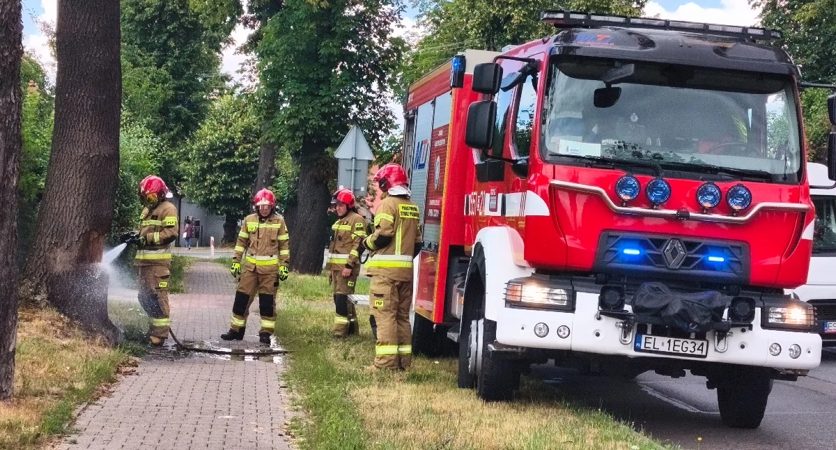 Strażacy gasili płonące drzewo naprzeciwko wieluńskiego cmentarza