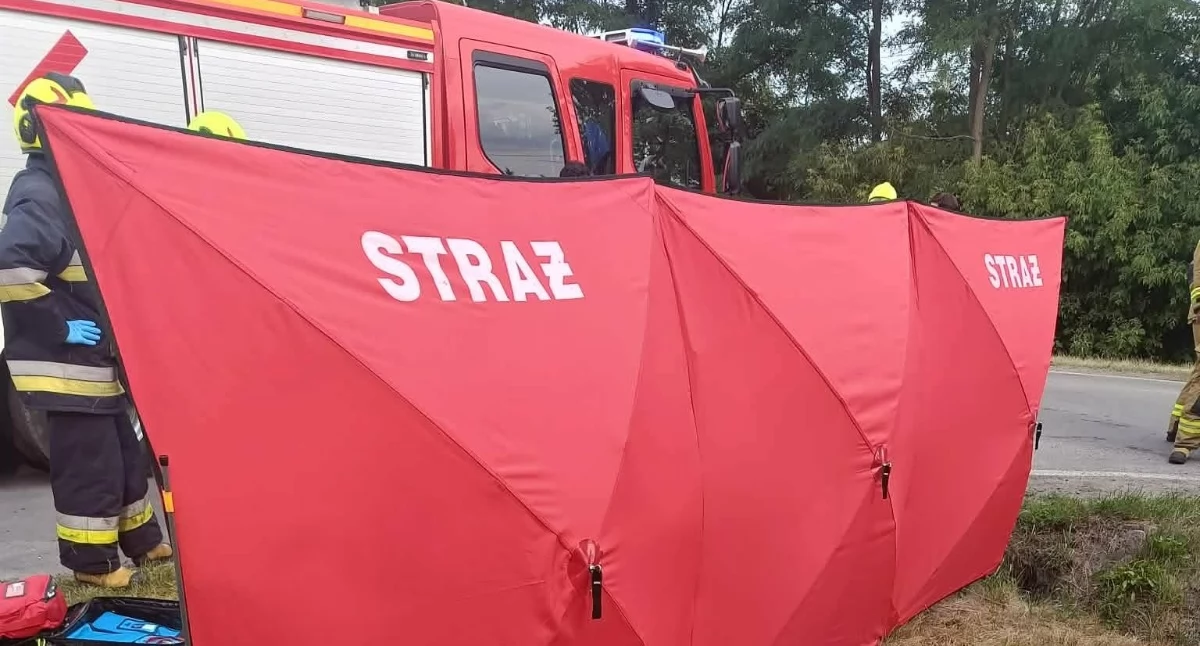 Czołowe zderzenie dwóch aut - jeden z poszkodowanych miał sądowy zakaz prowadzenia pojazdów