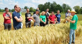 Dni Pola w Suchowoli przyciągnęły tłumy - firma Ziarenko o środkach ochrony zbóż wie wszystko