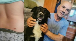 Pies sąsiada ugryzł 7-latka. Właściciel czworonoga w trudnej sytuacji
