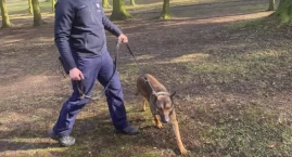 Policjant na czterech łapach. Do wieruszowskiej komendy dołączy owczarek 