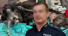 Psa żywcem zjadało robactwo. Skandal w gminie Czarnożyły, na posesji policjanta wieluńskiej policji