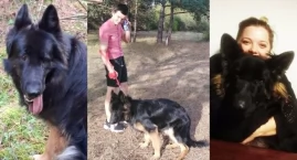 Rozpaczliwie poszukują zaginionego psa. Czy ktoś wid&hellip;